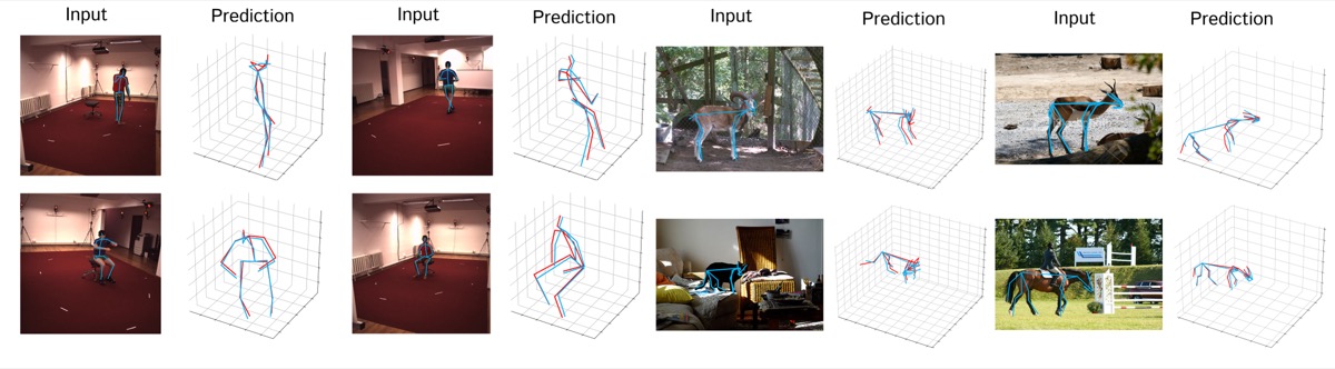 Project image